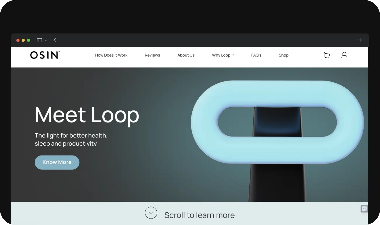 Osin website hero section